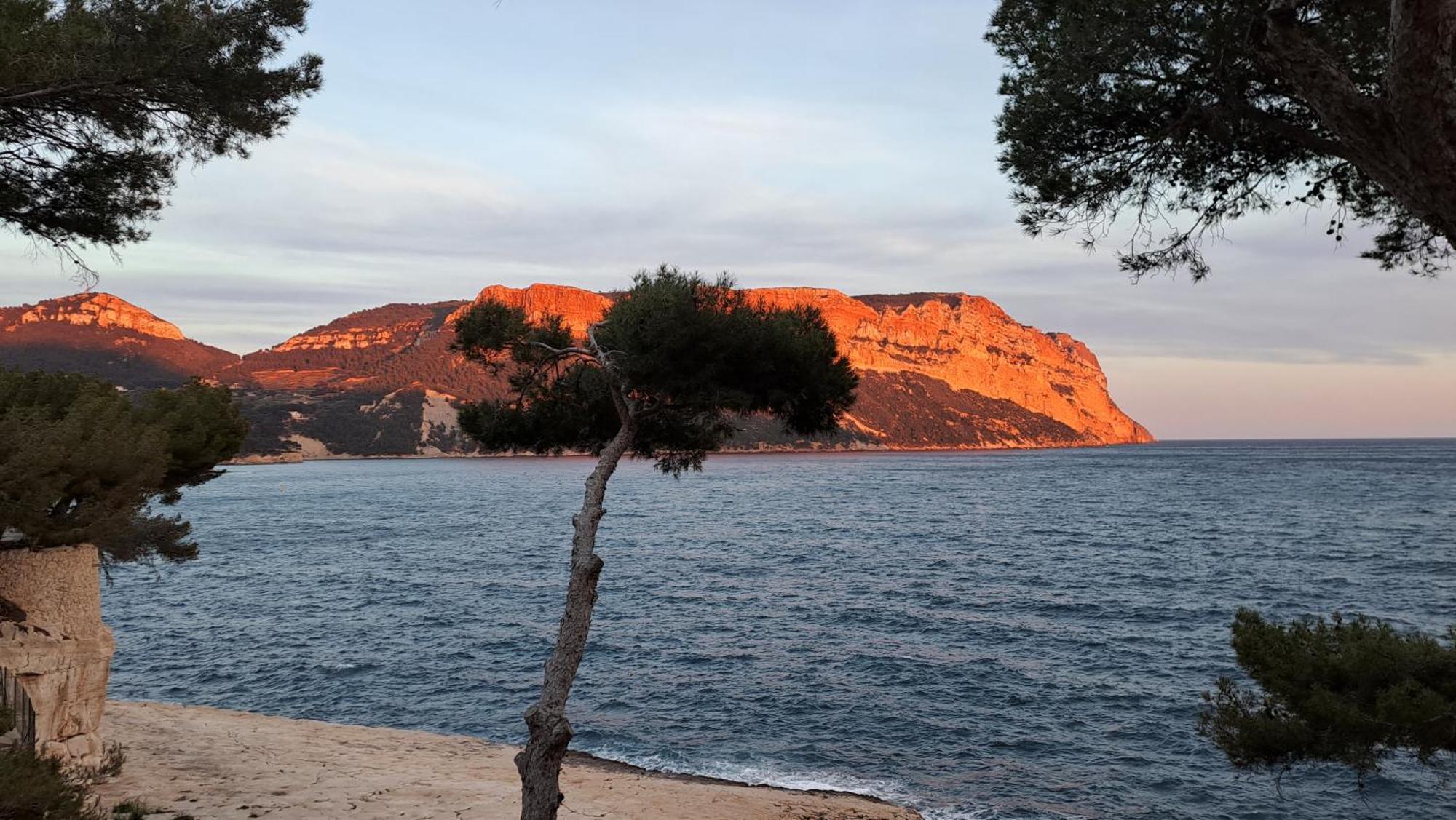 Superbe Appartement Piscine, Tennis, Vue Mer Et Decore Avec Gout Cassis Exterior foto